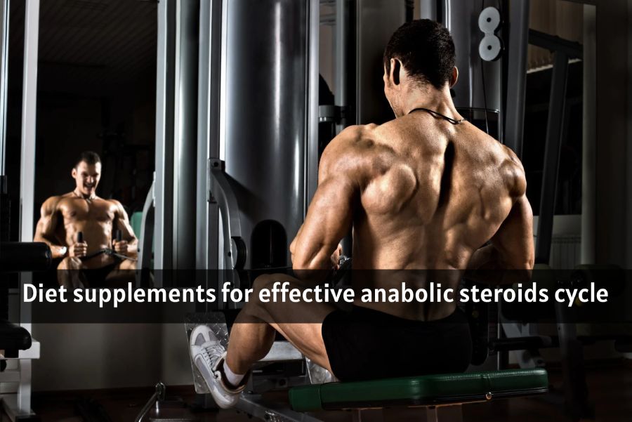 supplements to take while on anabolic steroids